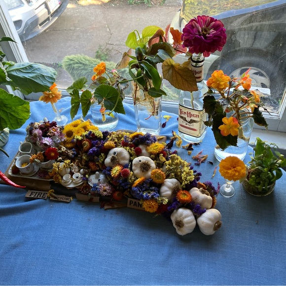 Meet your Posher, Kate - Picture 10 of 11